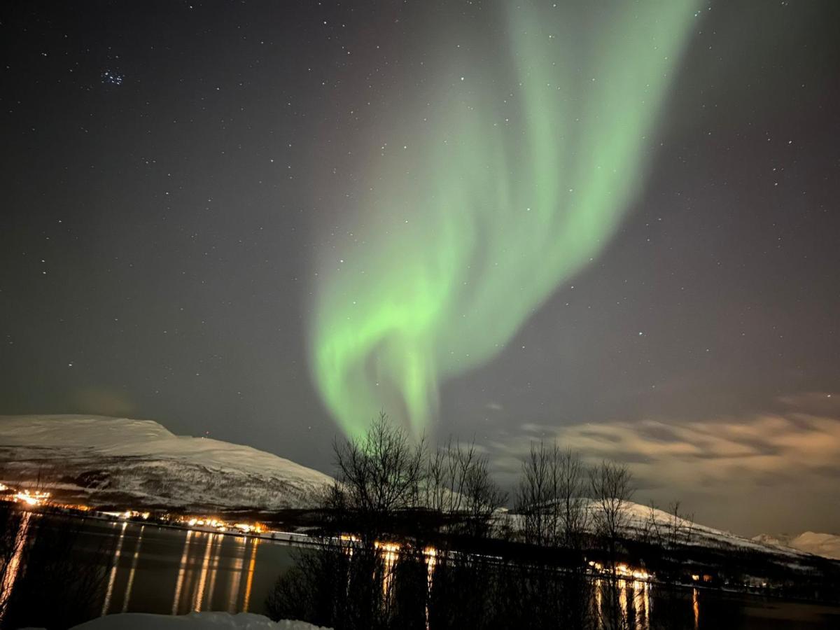 Hôtel Hakoyveien 151, Tromsø Extérieur photo